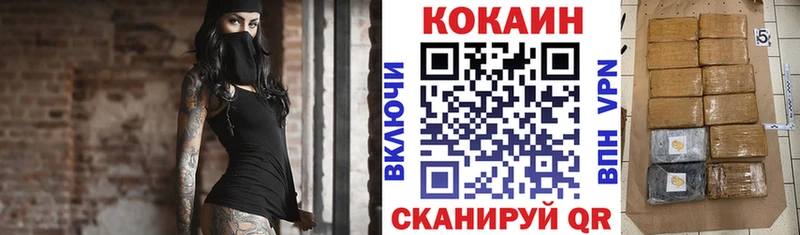 Cocaine FishScale  сколько стоит  Нестеров 