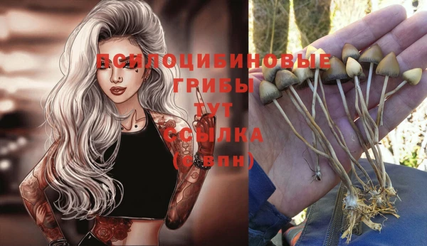 гашик Магадан