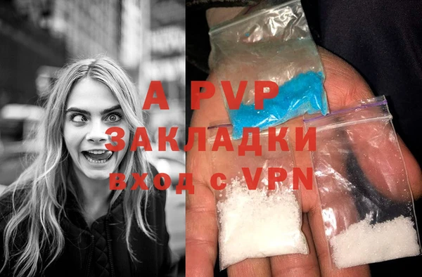 гашик Сатка