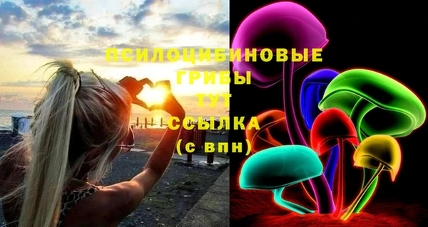 гашик Магадан